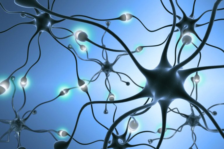 Quante Informazioni Può Contenere Il Cervello